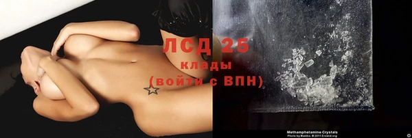 эйфоретик Зерноград