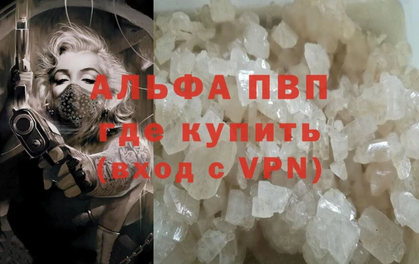 эйфоретик Зерноград