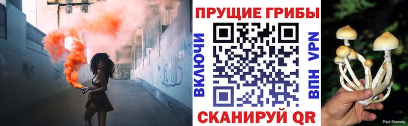 Псилоцибиновые грибы GOLDEN TEACHER  Купить где  Лермонтов 